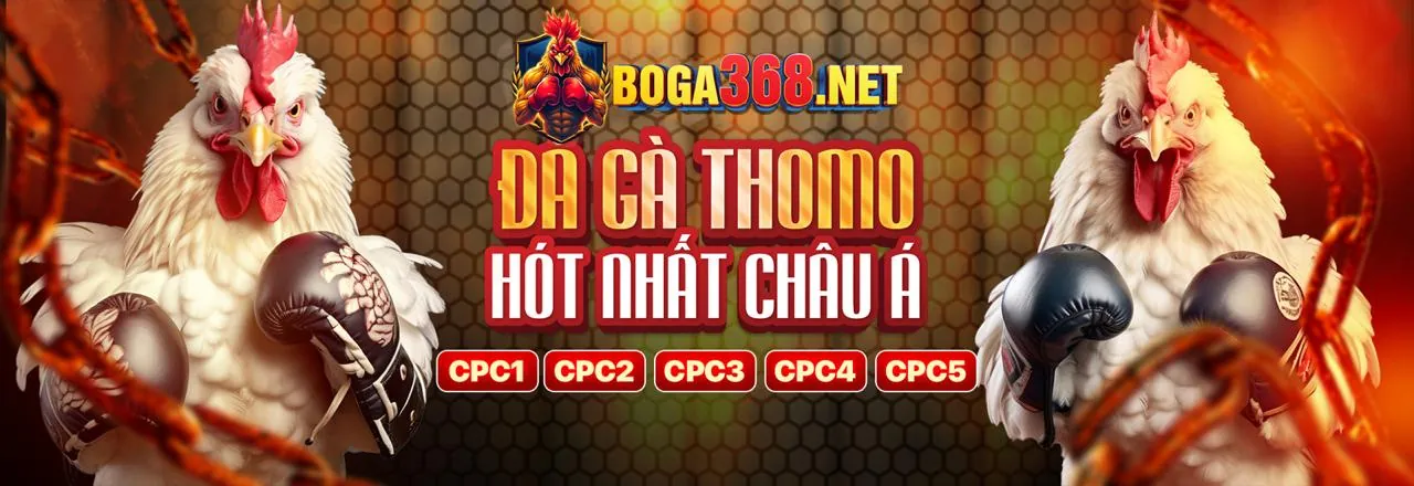 Các loại khuyến mãi chính tại bl55 win